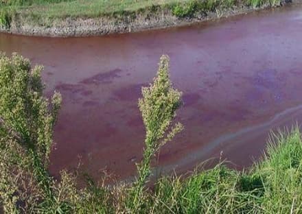 IVREA - Lago San Michele rosso: scatta il divieto di balneazione