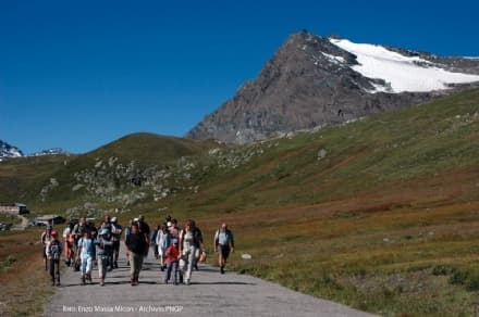 CERESOLE REALE - Torna «A piedi tra le Nuvole»: la domenica al Nivolet solo a piedi, in bici o con le navette Gtt