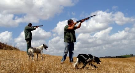 FRONT CANAVESE - Cacciatore ferito con un colpo di fucile: tragedia sfiorata nei boschi
