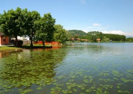 CANDIA - Niente bagno nel lago: troppi batteri. Tuffi vietati