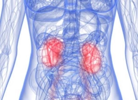 IVREA - Tante iniziative dell'Asl per la giornata mondiale del rene