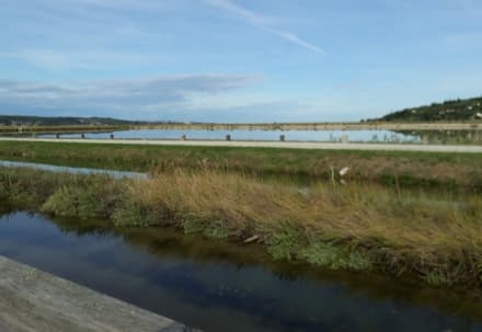 CALUSO - Nuova fase all'istituto Martinetti per il «Progetto Istria»