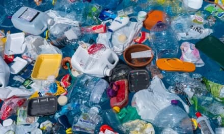 AMBIENTE - Un'estate plastic-free