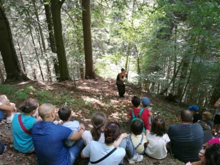 CERESOLE-CAMPIGLIA-RONCO - Gran Paradiso dal vivo: buona la prima