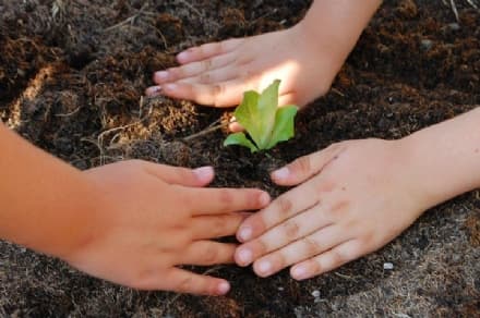CASTELLAMONTE - Un orto-giardino sociale per via Camillo Olivetti