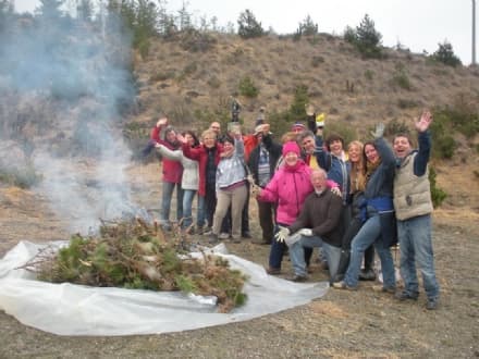 BALDISSERO-VIDRACCO - Inizia la caccia al killer dei pini
