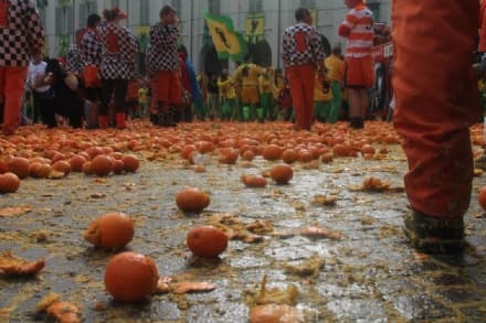IVREA - «Cavalli maltrattati al Carnevale durante la battaglia delle arance»: parte esposto in procura