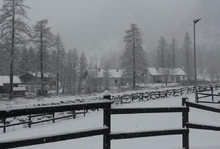 VALLE SOANA - Con la neve salta la corrente: l'Uncem scrive a Enel