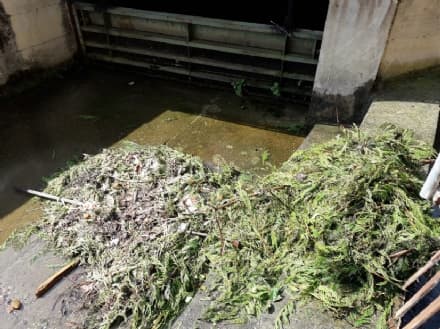 CASTELLAMONTE - Incivili gettano la spazzatura nella roggia - FOTO