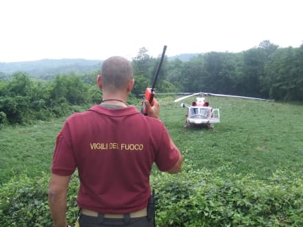 SAN GIORGIO - Incidente in autostrada, i vigili del fuoco salvano cane e padrone