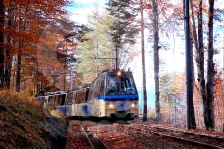VIAGGI - Il Treno del Foliage, i colori dell'autunno