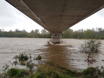 MALTEMPO CANAVESE - Finalmente una tregua: dopo tanta pioggia oggi torna un po' di sole