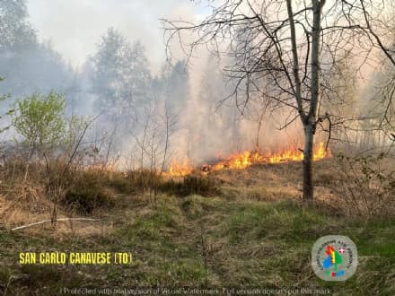 SAN CARLO CANAVESE - Boschi in fiamme, intervento dei volontari Aib - FOTO