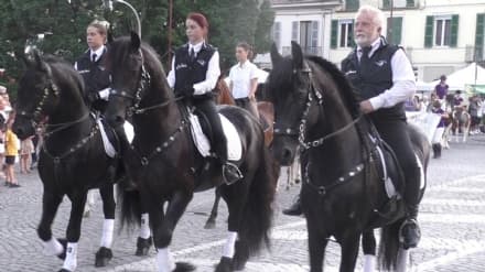IVREA - Polemica su San Savino: «Costa troppo alle casse del Comune»