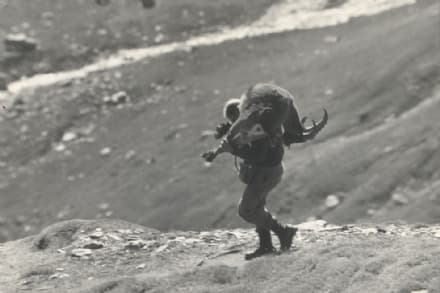 VISCHE - L'addio a Vittorio Peracino, storico veterinario del Parco Nazionale del Gran Paradiso - FOTO