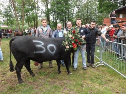 LOCANA - Successo per la battaglia delle reines - FOTO