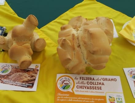 CHIVASSO - Coldiretti vara due progetti per gli antichi grani