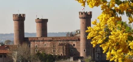 IVREA - Addio a Sandra Marangoni, fondatrice della Casa delle donne di Ivrea