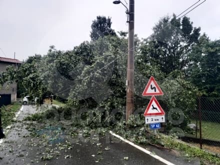 CANAVESE - Nubifragio, villetta colpita da un fulmine a Favria. Decine di alberi abbattuti. Interventi a raffica per i vigili del fuoco - FOTO