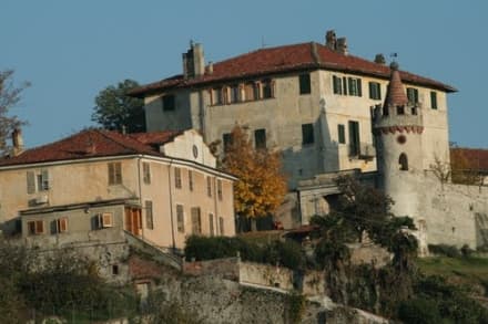 ALBIANO - Una camminata tra le vigne contro i tumori