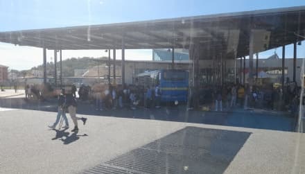 IVREA - Caos nell'area del Movicentro all'uscita dalle scuole: a rischio la sicurezza dei ragazzi