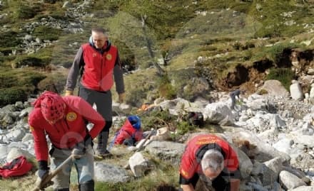 RONCO CANAVESE - Sentieri distrutti dal maltempo, 70 mucche bloccate in quota - FOTO
