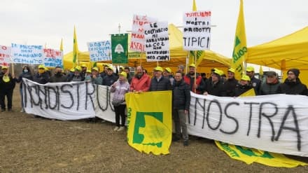 CANAVESE - Allarme Coldiretti: «Consumo di suolo, il Canavese uno dei territori più colpiti»