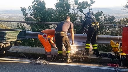 CHIAVERANO - Tre animali morti recuperati in meno di 24 ore - FOTO