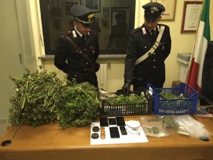 PONT CANAVESE - Piantagione di marijuana in casa: i carabinieri arrestano un'intera famiglia