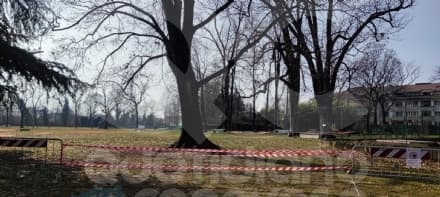 RIVAROLO CANAVESE - Quercia pericolosa nel parco del castello Malgrà: dovrà essere abbattuta