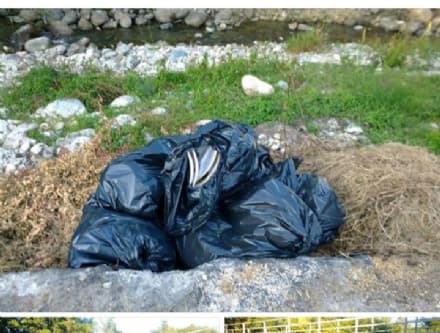 VALPERGA - Tagga il maiale? Esplode il caso dei «vignaioli»