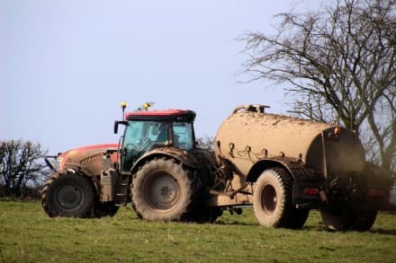CANAVESE - Agricoltura in ginocchio dopo il maltempo: Coldiretti chiede alla Regione la deroga per spandere gli effluenti