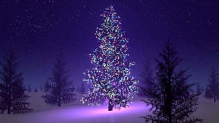 CANAVESE - Tutte le feste di Natale minuto per minuto