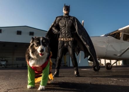 PET - Batman esiste (e salva i cuccioli)