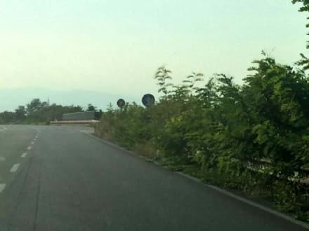 VOLPIANO - Verde pubblico dimenticato: il Comune scrive all'ex provincia