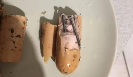 BORGIALLO - Bocconi con chiodi e vetro: il cane è morto - FOTO