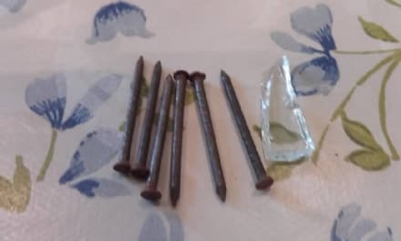 BORGIALLO - Tenta di uccidere il cane con i chiodi e il veleno