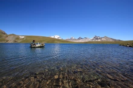 PARCO GRAN PARADISO - Tornano a vivere i laghi alpini: il  progetto Life+Bioaquae funziona
