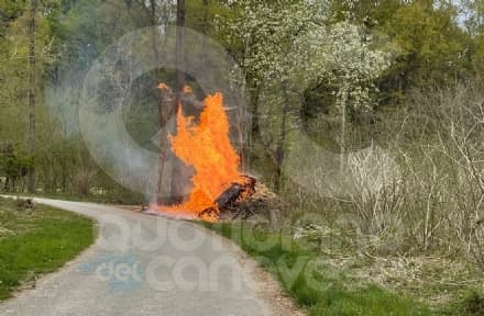 RIVARA - Incendio in un boschetto, intervento dei vigili del fuoco - FOTO