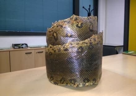 CASELLE - La pelle di un'anaconda nascosta nel bagaglio