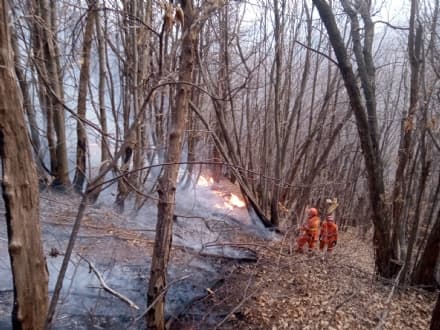 RUEGLIO - Un altro incendio boschivo alimentato dal vento: a rischio alcune baite