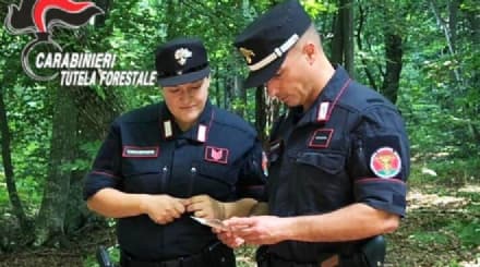 CHIVASSO - I carabinieri forestali lasciano la città e si spostano a Volpiano