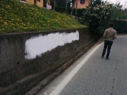 OMICIDIO DI CASTELLAMONTE - Scritte su Gabriele Defilippi sui muri della città: indagano i carabinieri