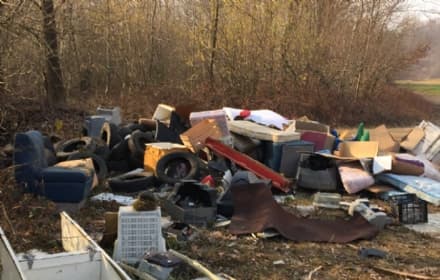 RIVARA - Ladri e maiali in azione alla vecchia discarica - FOTO