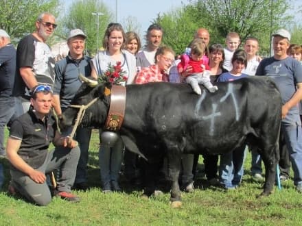 FAVRIA - Il grande ritorno della fiera agricola