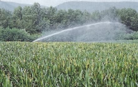 RIVAROLO - Agricoltori a secco: colpa della centrale di Vesignano?