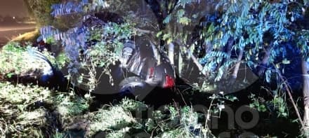 RIVAROLO CANAVESE - Incidente in via Oglianico, auto finisce fuori strada e si ribalta - FOTO