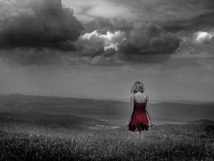 I compagni di una vita: i ricordi!