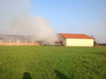 CASTELLAMONTE - Incendio in cascina: paura per l'allevamento - FOTO e VIDEO