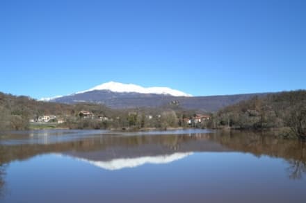 IVREA - Appello per il cinque per mille da destinare a Serra Morena